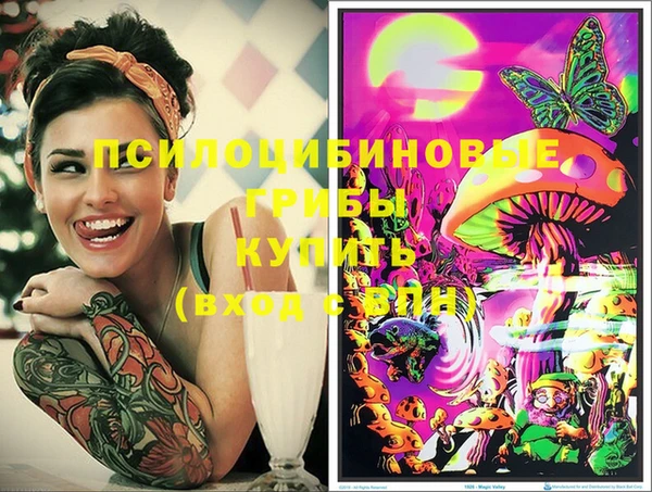 молекула духа Вязьма