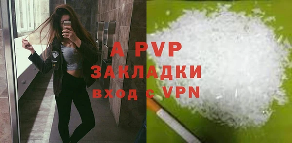 сатива Вяземский