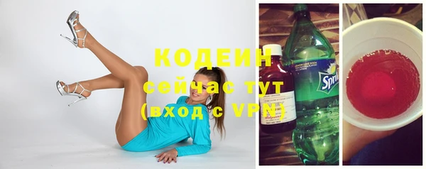 сатива Вяземский
