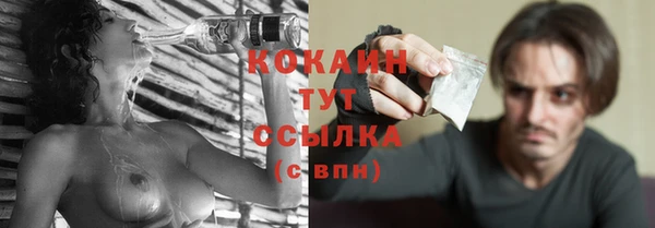 сатива Вяземский