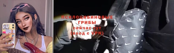 сатива Вяземский