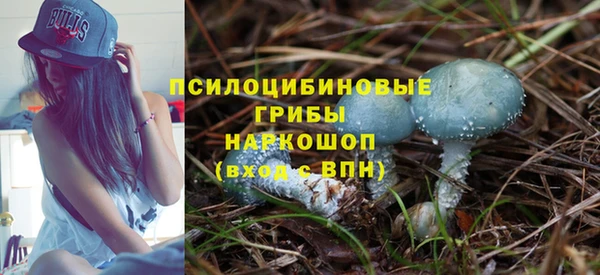 молекула духа Вязьма